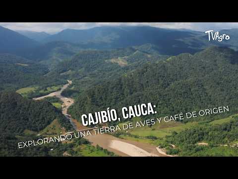 Cajibío, Cauca: explorando una tierra de aves y café de origen - TvAgro por Juan Gonzalo Angel