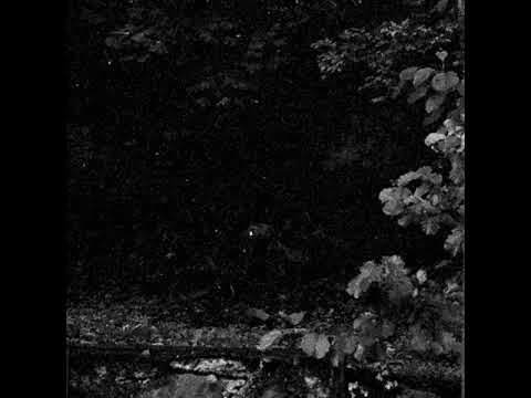 Aura Minimum - Mental War