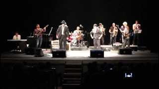 CAN&#39;T TURN YOU LOOSE THE BLUES BROS. TRIBUTE