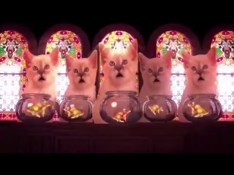 151224 Nahyun - Twitter Video