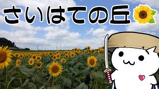 【生放送】風来のシレン2 最果てへの道 99F TA 90分切りを目指す！【N64】