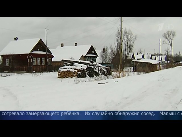 Пес на протяжении 2х дней согревал малыша, которого мама оставила на морозе