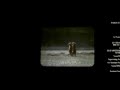 Wild America