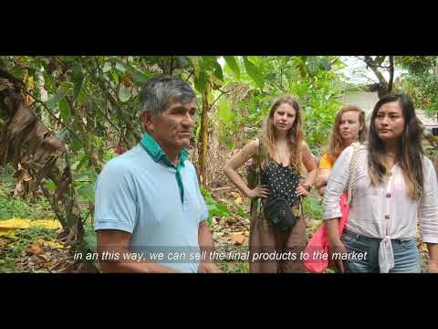 Welcome to Tocache, Peru- home to the world's best cacao