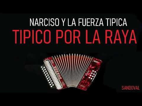 NARCISO Y LA FUERZA TIPICA