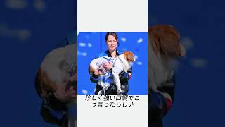 真美子夫人が 大谷翔平に初めて本気で怒った理由
