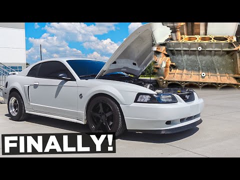 NEW 1300HP BUILT 4.6 2V MOTOR IS FINISHED! (Procharged 2004 Mustang GT Update)