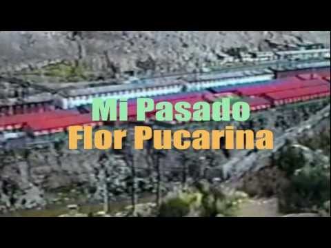 Mi Pasado / Flor Pucarina / Huancayo - Peru