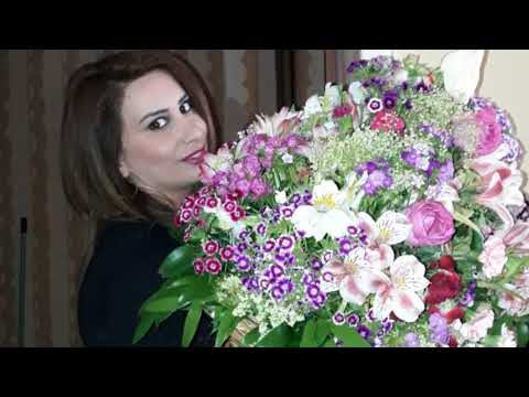 ProShow Slideshow2444444444444