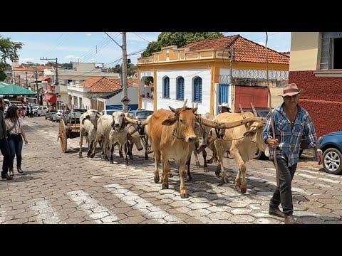 As tradições das Terras de Minas Gerais, PRATÁPOLIS 83 ANOS DE HISTÓRIA, TRADIÇÃO E MUITA FESTA!