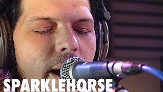 SPARKLEHORSE  - Painbirds (Live on 2METERSESSIONS)