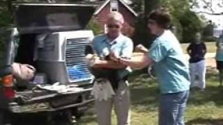 preview picture of video 'Bald Eagle Release 23SEP10 Part3.wmv'