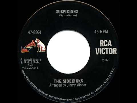 1966 HITS ARCHIVE: Suspicions - Sidekicks (mono 45)