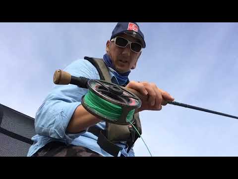 Popping the Booby, Ripping The Blob