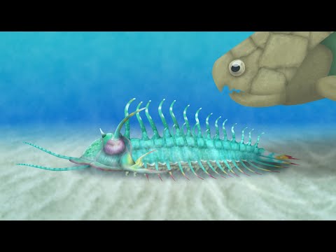 Trilobites: a Thorny Issue - with Lucy McCobb