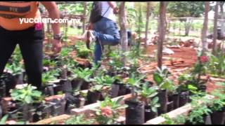Alumnos experimentan en invernaderos