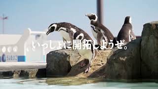 うみたまご「新あそびーちオープン（ティザー）」編