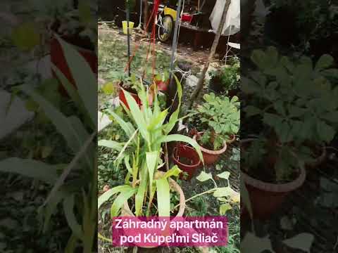 Záhradný apartmán pod Kúpeľmi Sliač