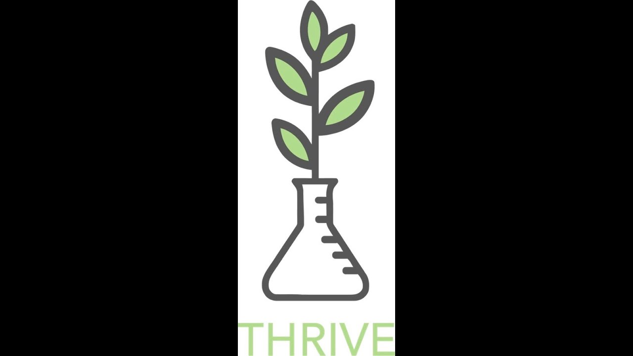 Thrive Momentum Showcase Presentation