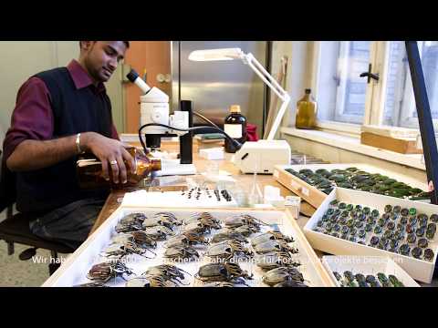 Museum im Wandel: Drei fertig gestellte Bauabschnitte und noch viel zu tun