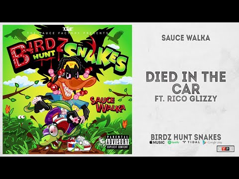 Sauce Walka - "Died in the Car" Ft. Rico Glizzy (Birdz Hunt Snakes)