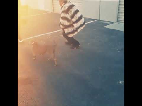 Behind the scene - video shoot - G battles BG Knocc Out Ricc Rocc Lil Pimpin DPG