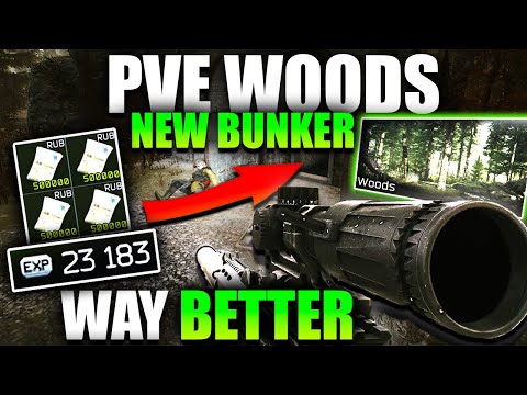 PVE WOODS UPDATE IS BRILLIANT! Escape From Tarkov PVE