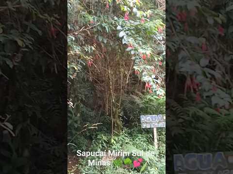 Sapucaí Mirim, divisa Sampa e Sul Minas! 🌳 #nature