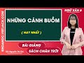 Những cánh buồm - Ngữ văn lớp 6 - Chân trời sáng tạo