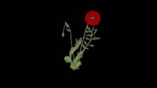 Alexandra Savior - Til You're Mine