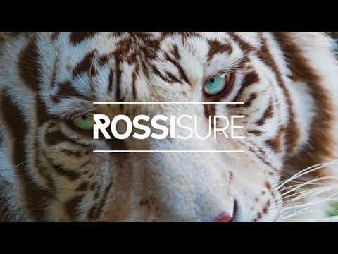 Zara Larsson, MNEK X Rossi Sure - Never Forget You