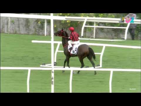 01/07/2022 (790) 笑哥兒 (E365) 巴度