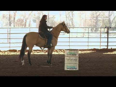 Heather Heath and starting your horse on the barrel pattern for the first time