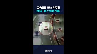 14km 역주행 잡았더니 "내가 왜 여기에?" #shorts