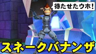 【2人実況】ドンキーコングバナンザで協力(笑)プレイをやらないウホか! part33