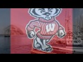 Lets Go Badger Lets Go