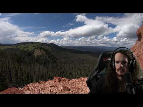 Zerg Study - Analyzing a ZvP series