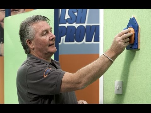 Tommy Walsh demonstrates the Paint Pad Pro