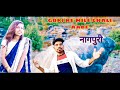 Gori Re Mile Chali Aabe Nagpuri