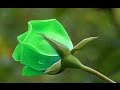 Добрая песня для друзей 