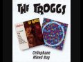 the troggs - all of the time 