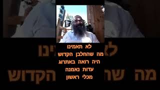 לא תאמינו מה החלבן היה רואה על האתרוג של האנשים כל שנה מדהים - עדות מכלי ראשון