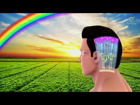 Practically's Concepts - The Eye (Retina) - #LearnPractically