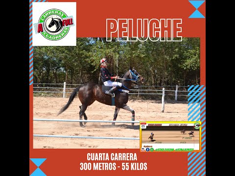 4º PELUCHE  Sta Ana 05 09 21