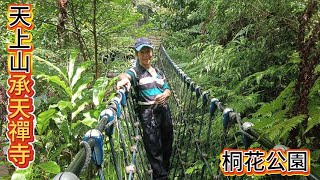 天上山 承天禪寺 桐花公園  8月2日