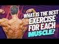 What is the Best Exercise for Each Muscle?