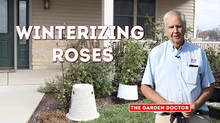 Winterizing Your Rose Garden