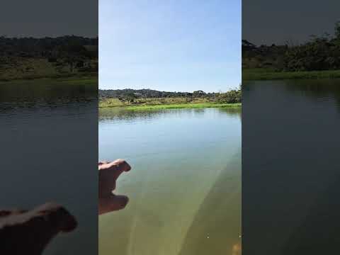 Pescaria de Mandí no Rio Areias em Alexânia Goiás