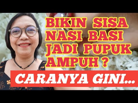 Cara Membuat MOL Nasi Basi