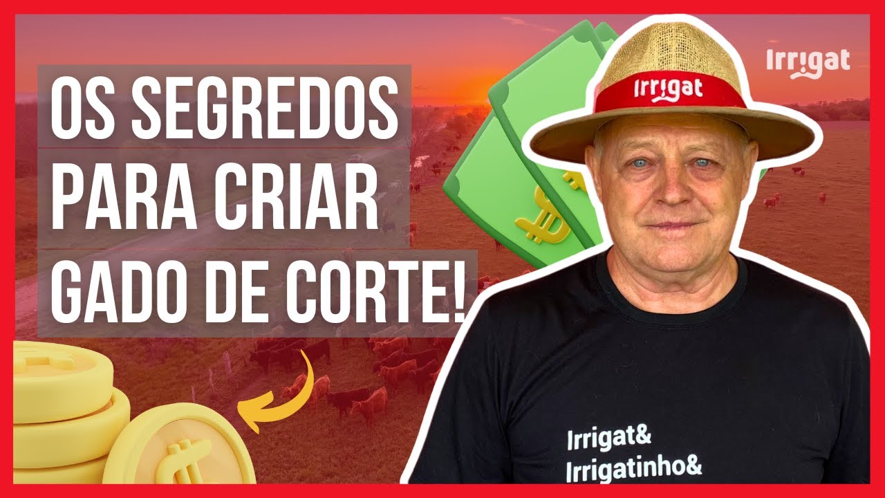 Passos simples para aumentar a produção de gado de corte com irrigação | Irrigat Responde